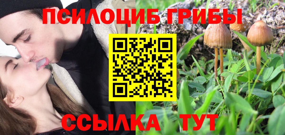 Псилоцибиновые грибы Cubensis  Вход с VPN  Псилоцибиновые грибы Psilocybine cubensis  закладка  Кушва 