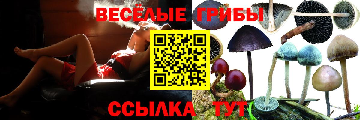 Галлюциногенные грибы Psilocybe Кушва